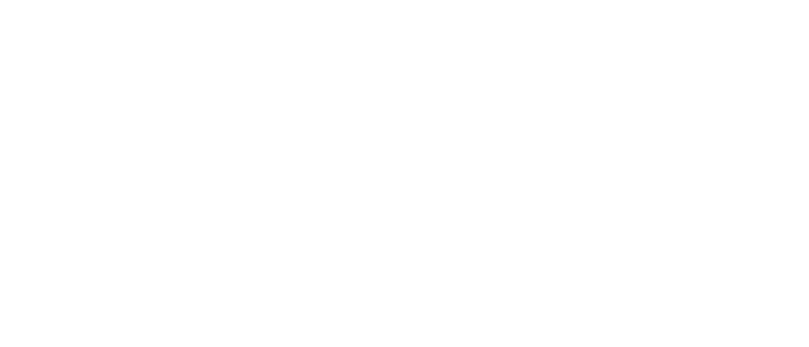Silicon Steel Software